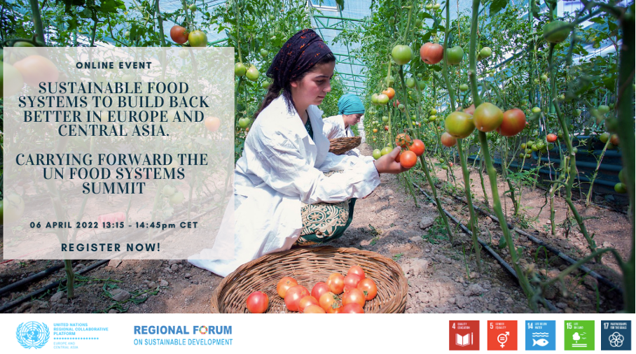 Sustainable Food Systems to Build Back Better in Europe and Central Asia – Carrying forward the UN Food Systems Summit (UNFSS)