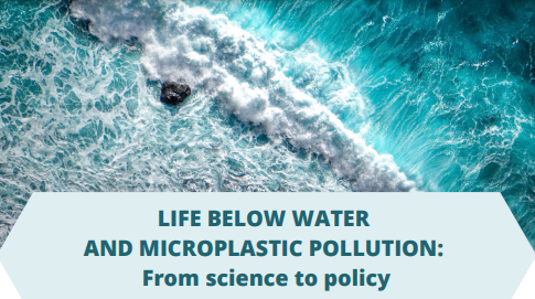Life Below Water and Microplastic Pollution: From Science to Policy