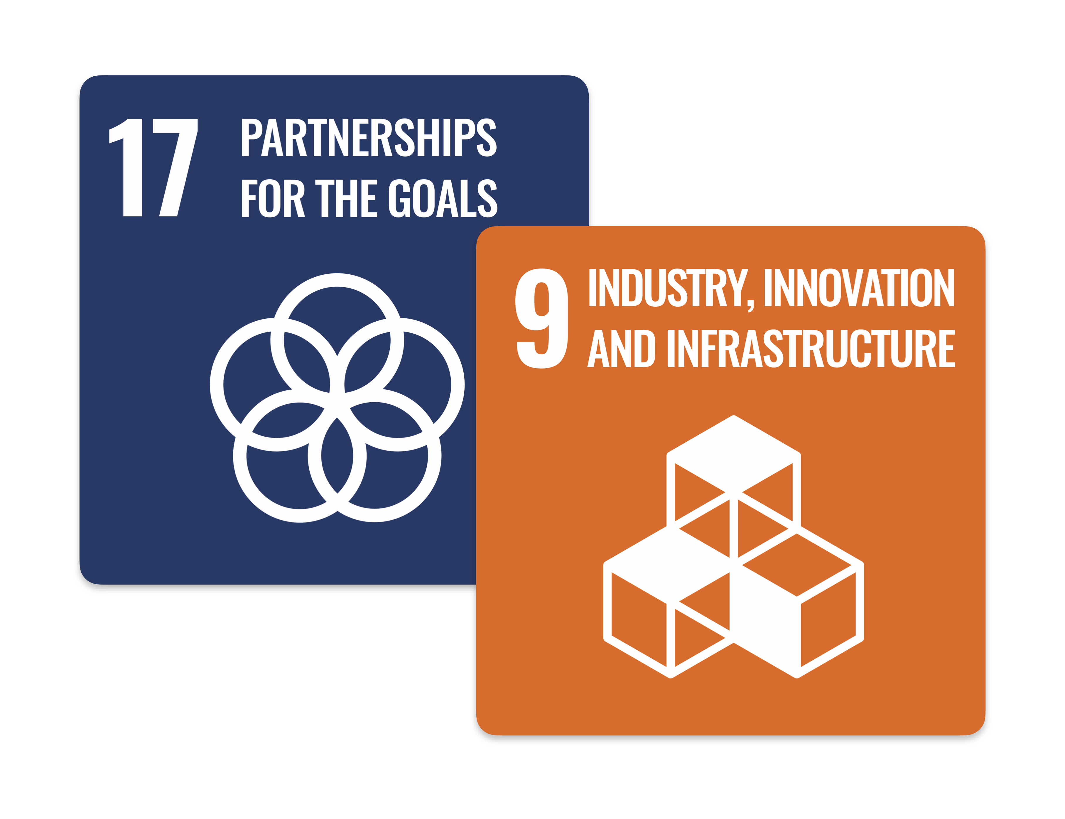 SDG 9 & 17 Logo